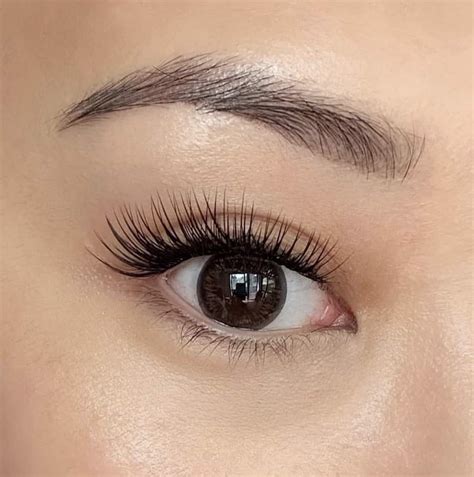 lashifu|where to buy lashify lashes.